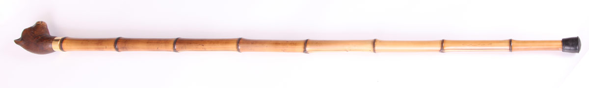 foto vych�zkov� h�l